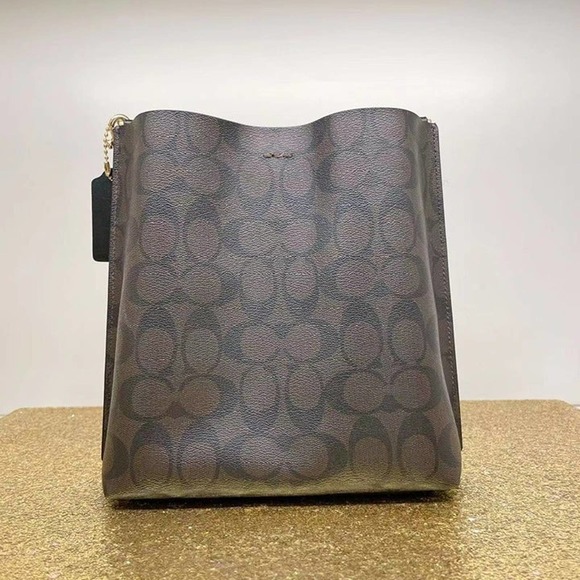 Coach CA582 Mollie Bucket Bag 22 In Signature Canvas In Gold/Brown Black - Picture 4 of 6